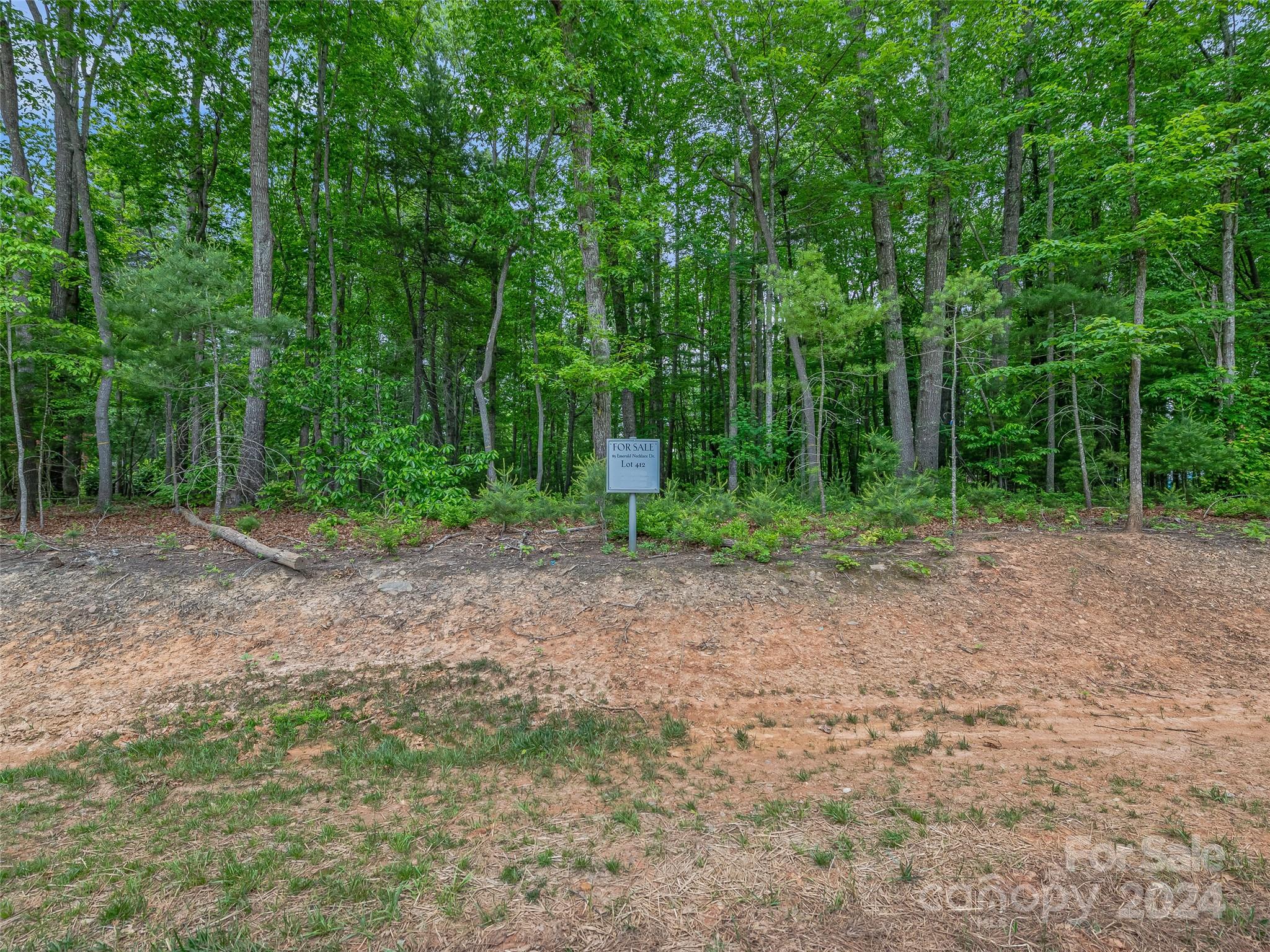 Ramble Biltmore Forest - Land