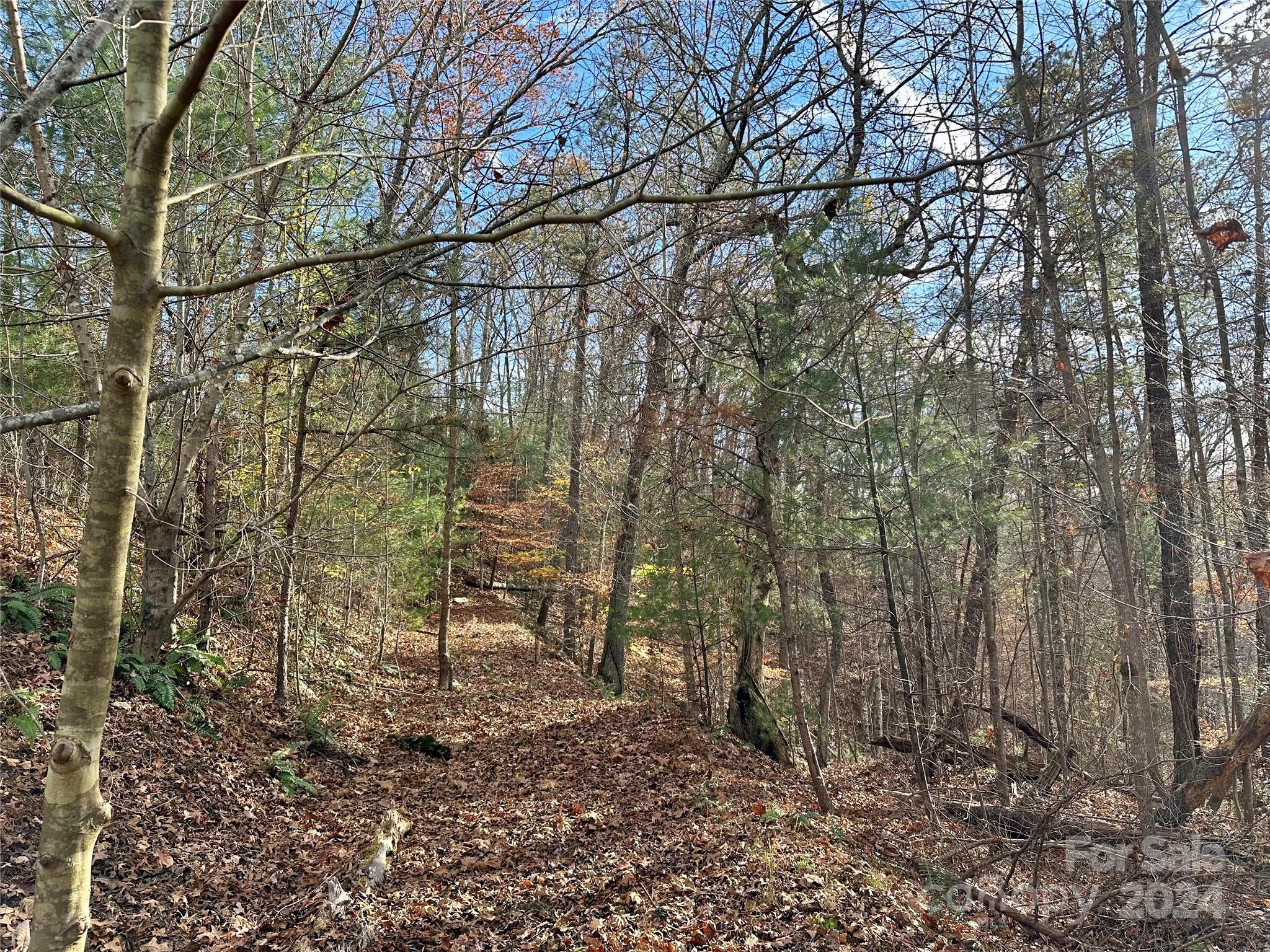 French Broad Crossing - Land