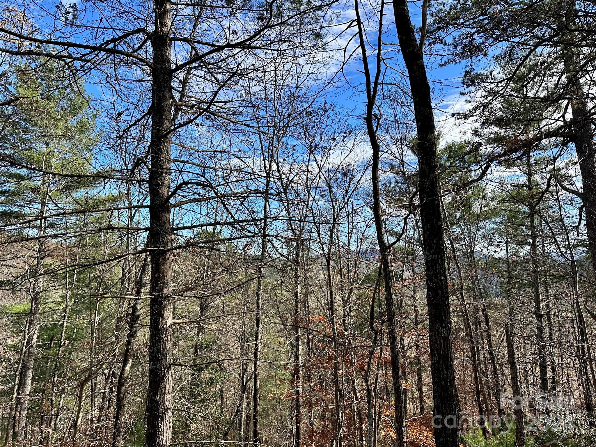 French Broad Crossing - Land