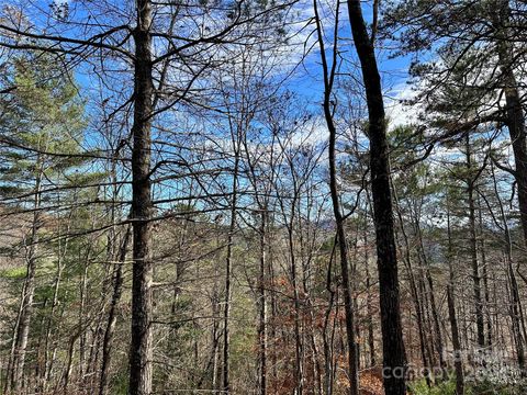 625 White Water Way 25 Marshall NC 28753
