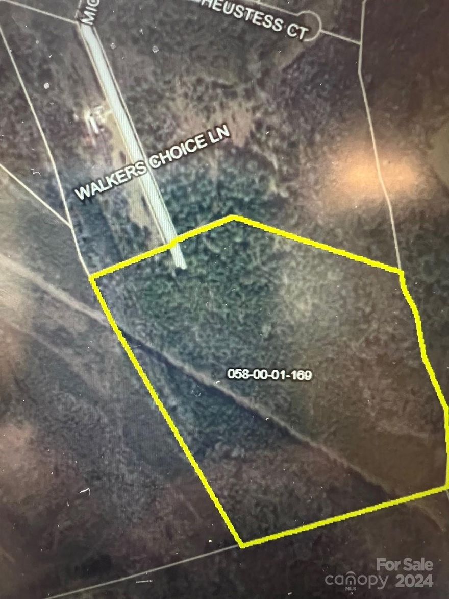 Wooded tract with lots of privacy. Property has some timber value.