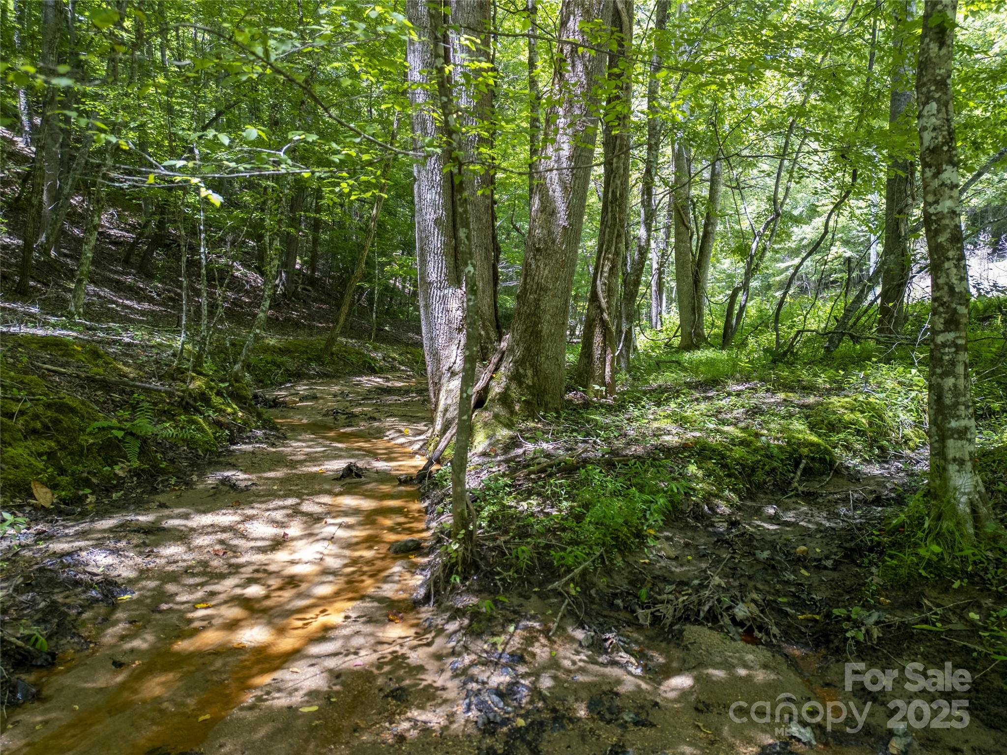 Riverbend at Lake Lure - Land