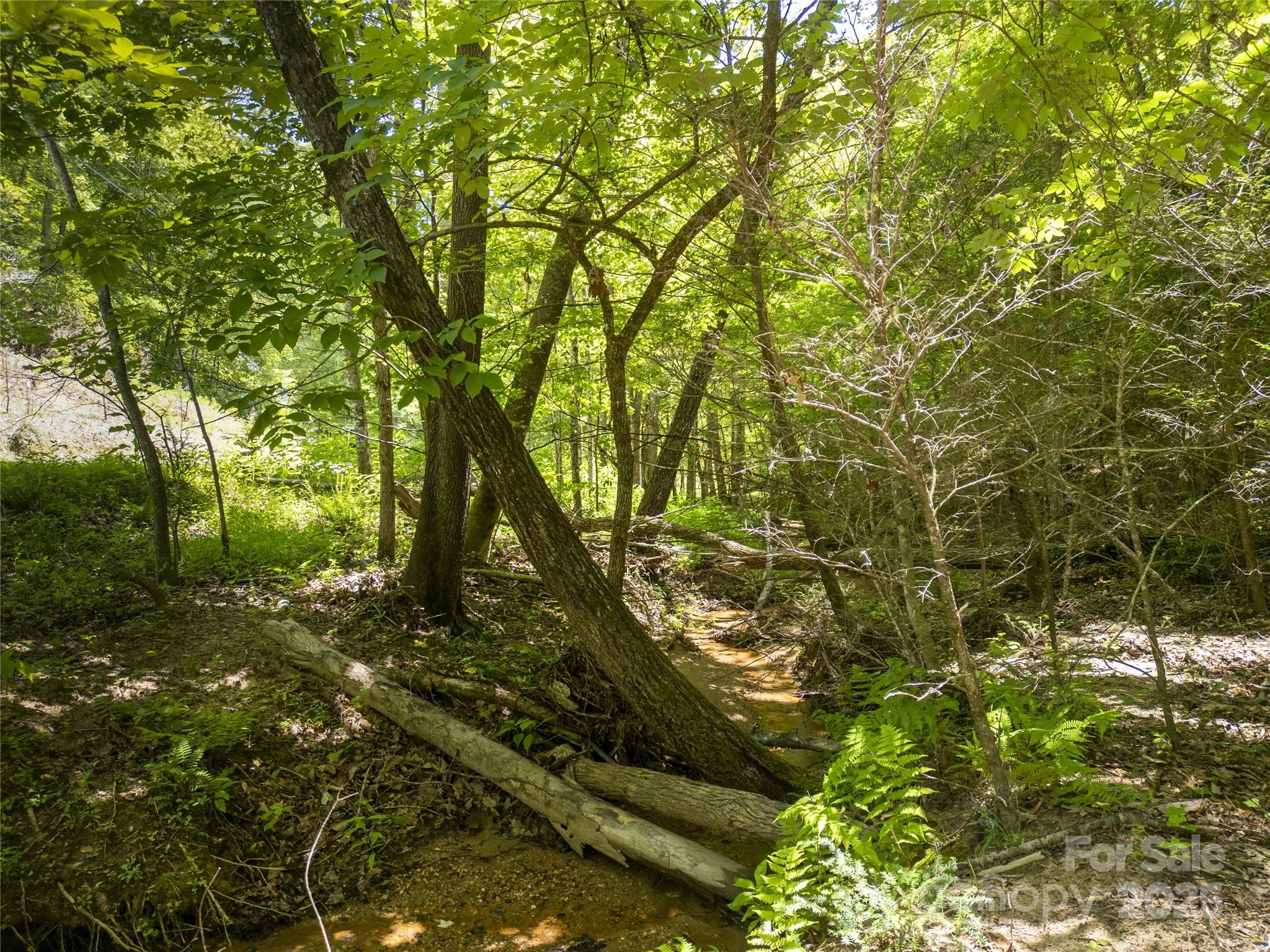 Riverbend at Lake Lure - Land