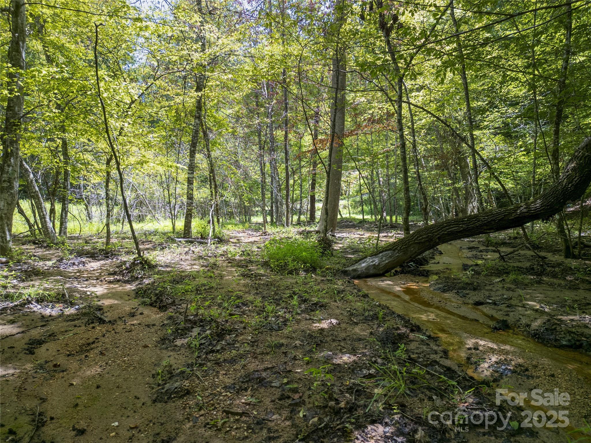 Riverbend at Lake Lure - Land