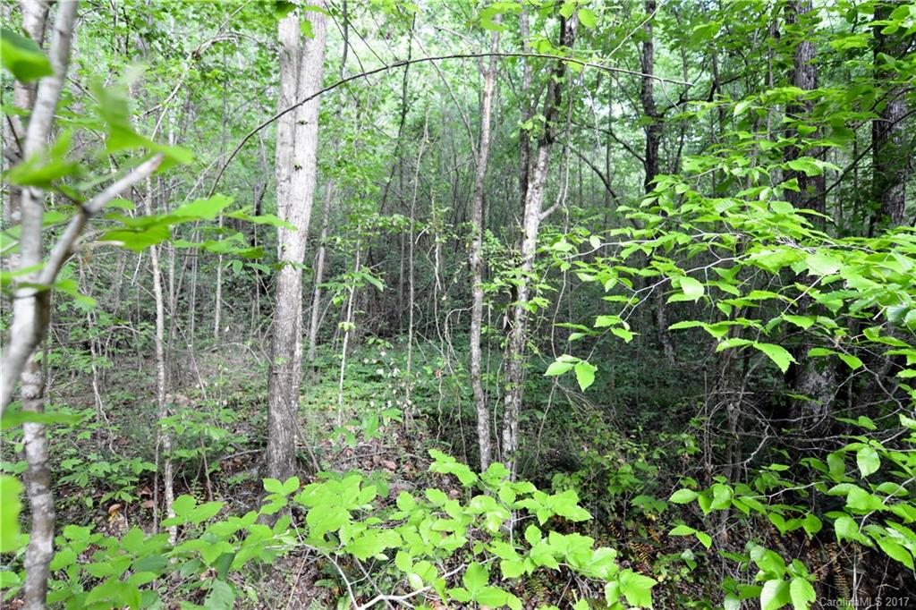 Clarendon Estates - Land