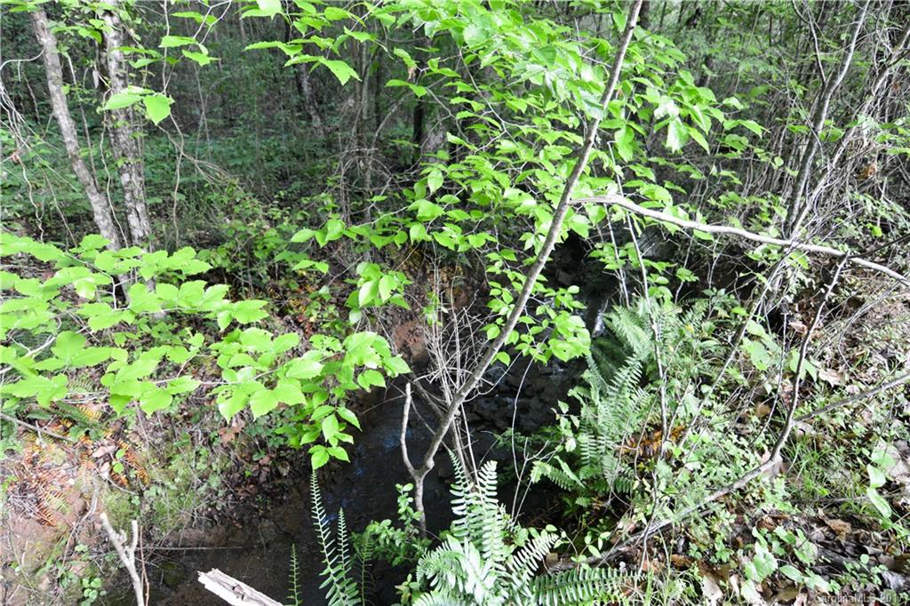 Clarendon Estates - Land