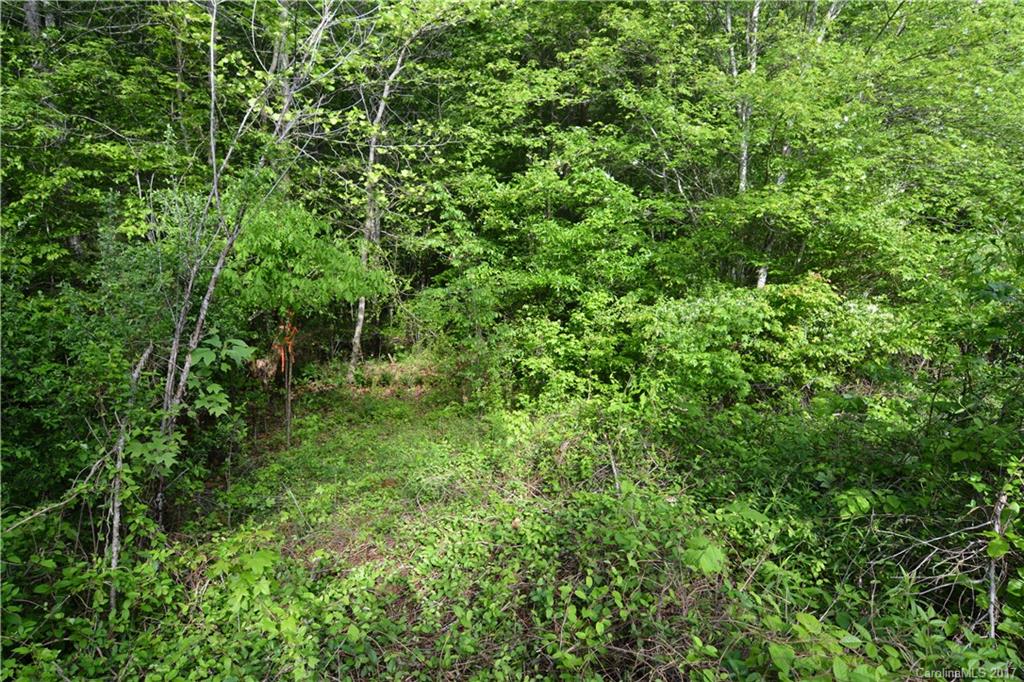 Clarendon Estates - Land