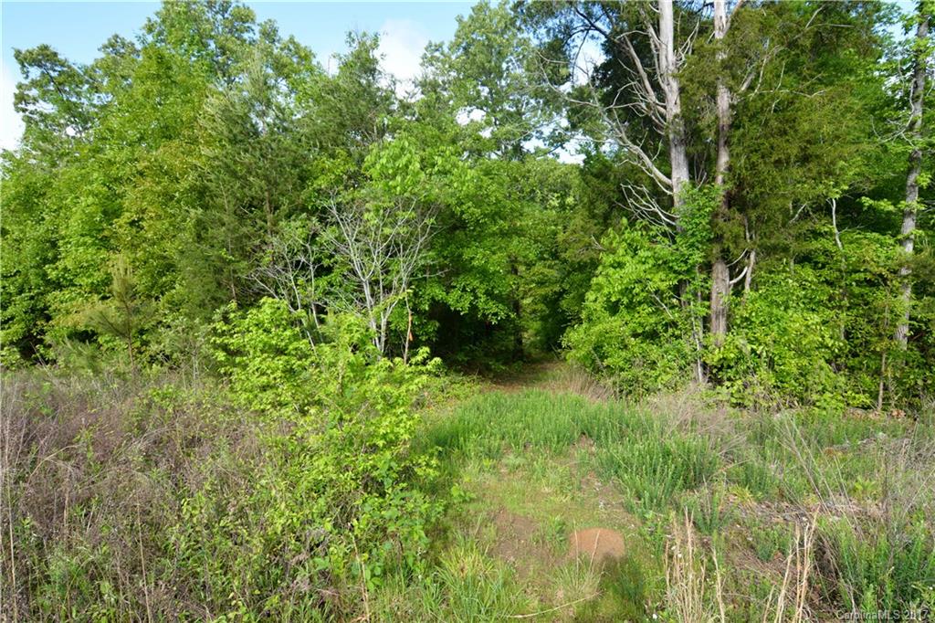 Clarendon Estates - Land