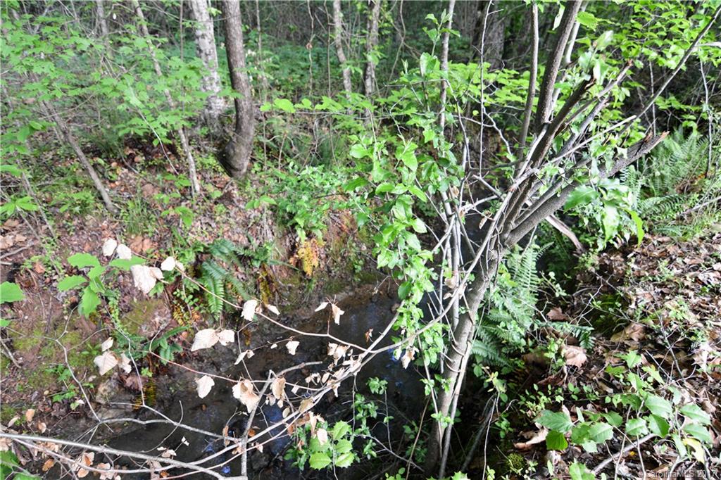 Clarendon Estates - Land