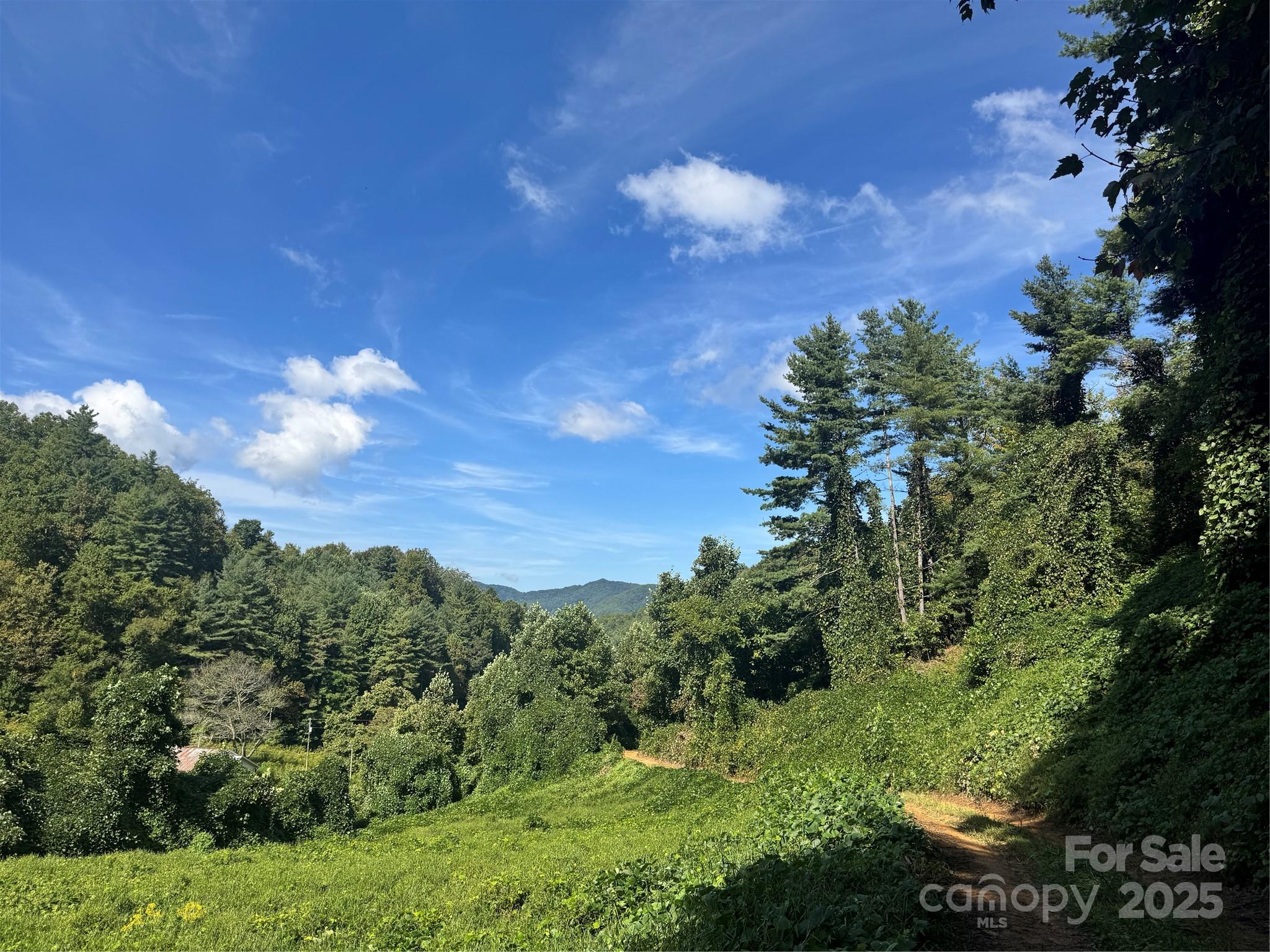 2252 Cutshall Town Road