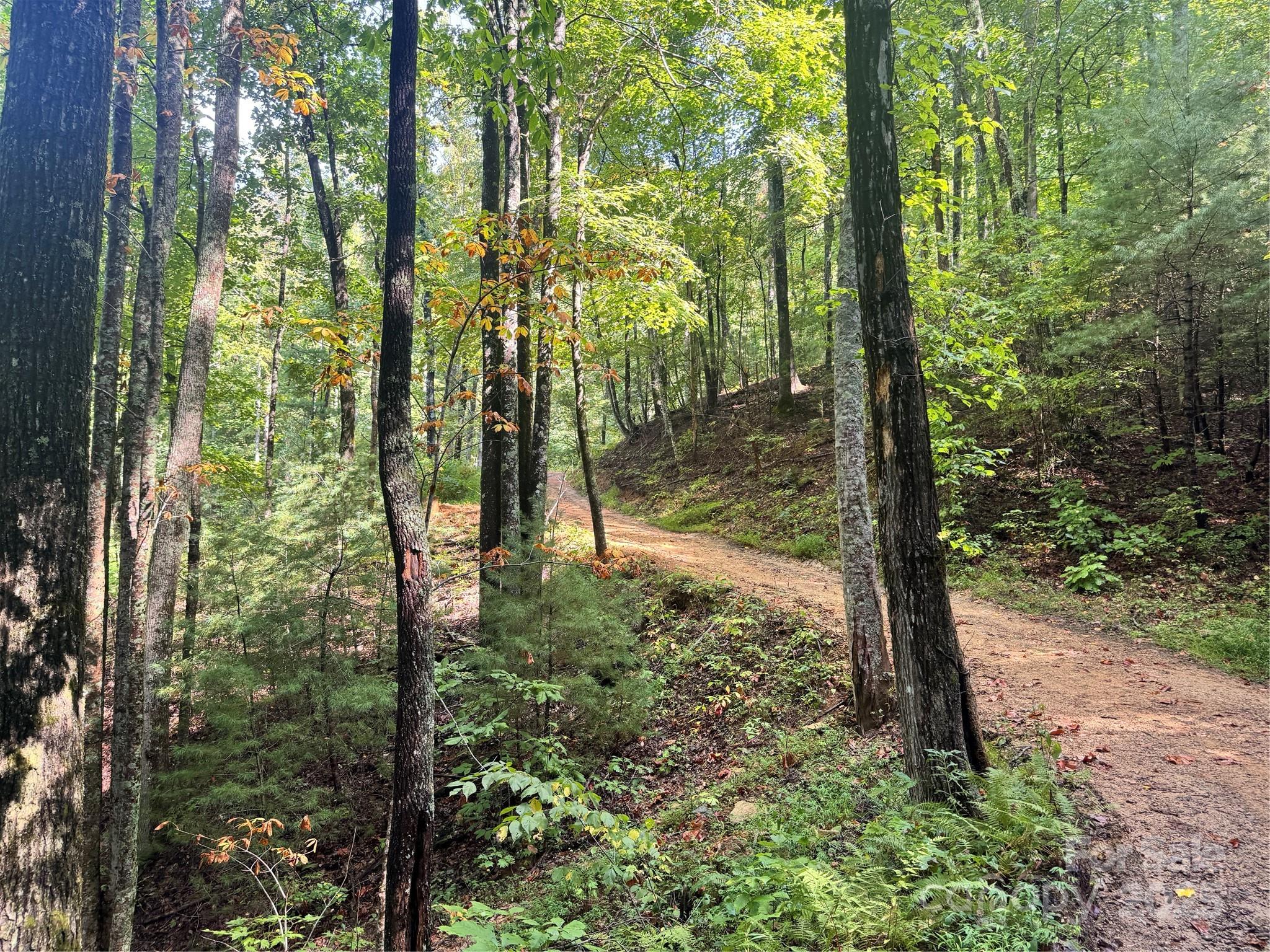 2252 Cutshall Town Road