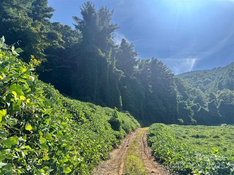 2252 Cutshall Town Road Marshall NC 28753