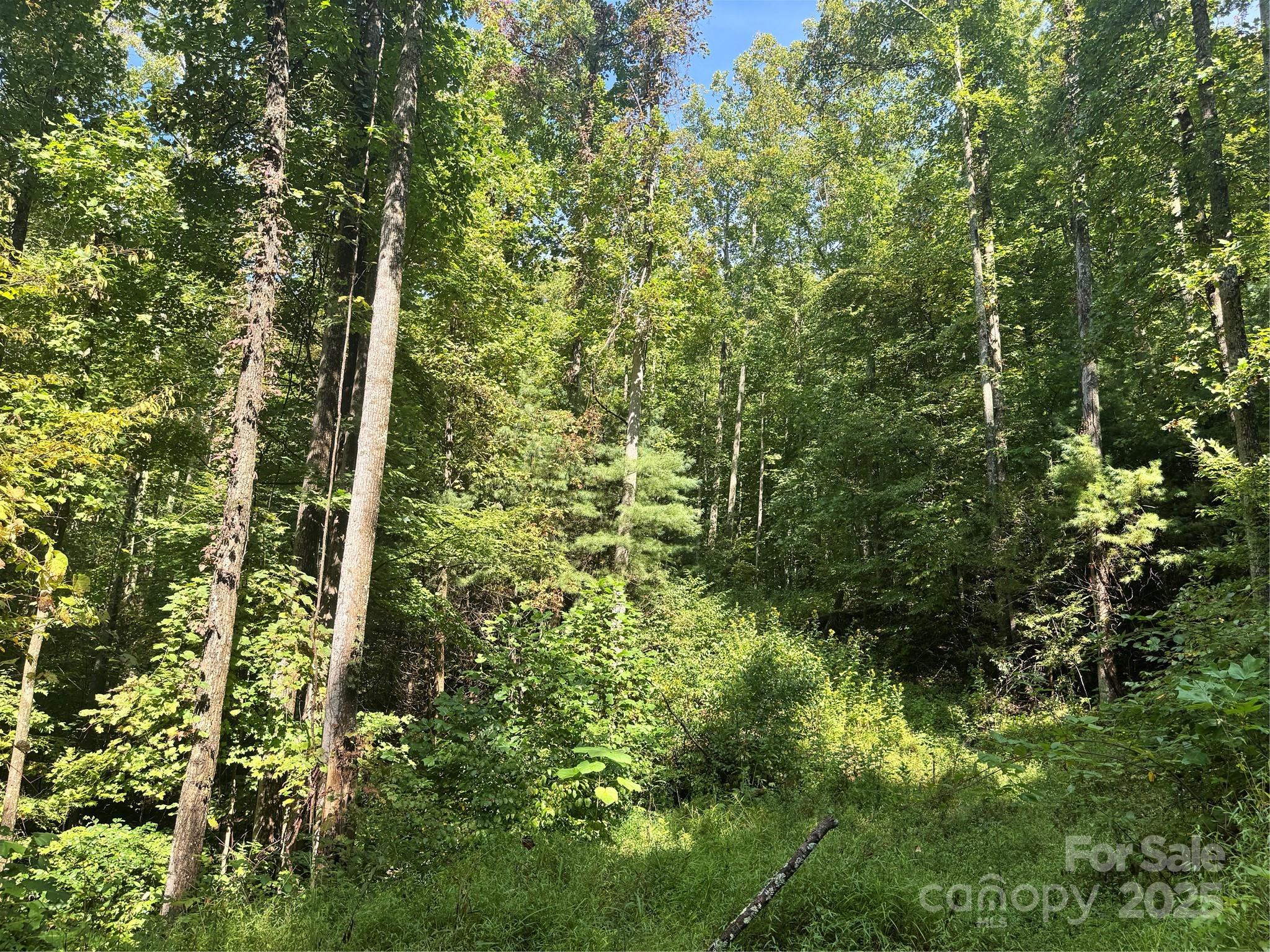 2252 Cutshall Town Road