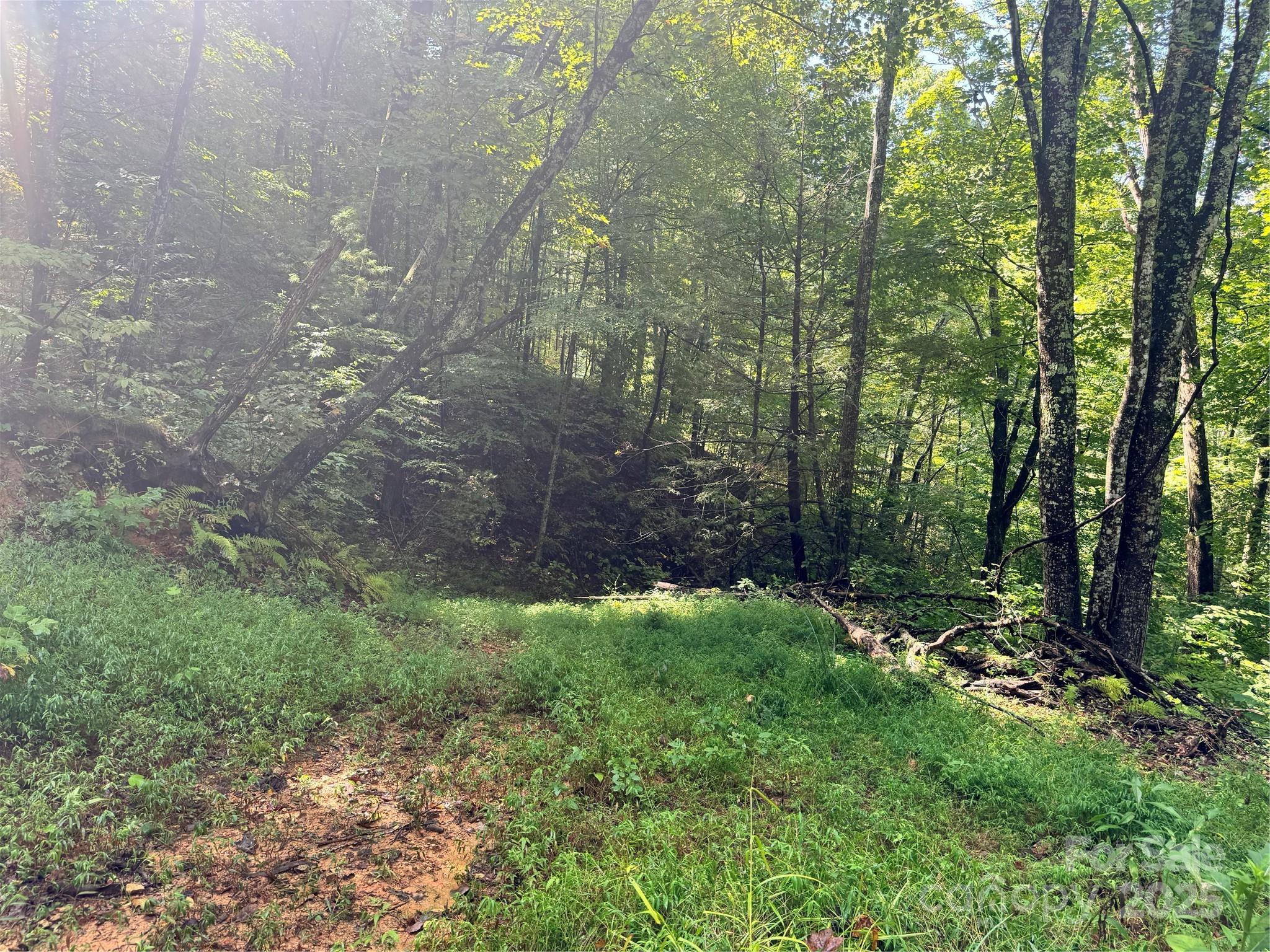 2252 Cutshall Town Road