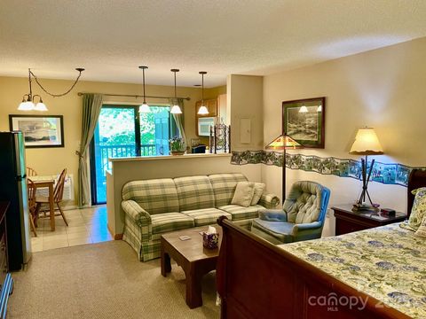 160 Whitney Boulevard 55 Lake Lure NC 28746