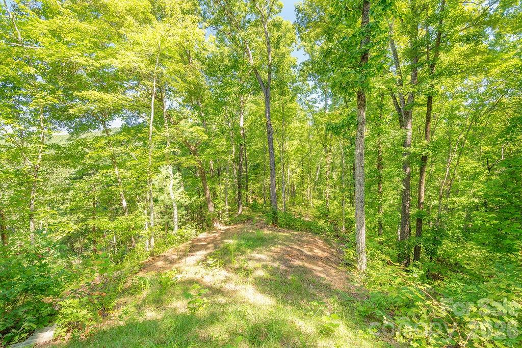 Cane Creek Mountain - Residential