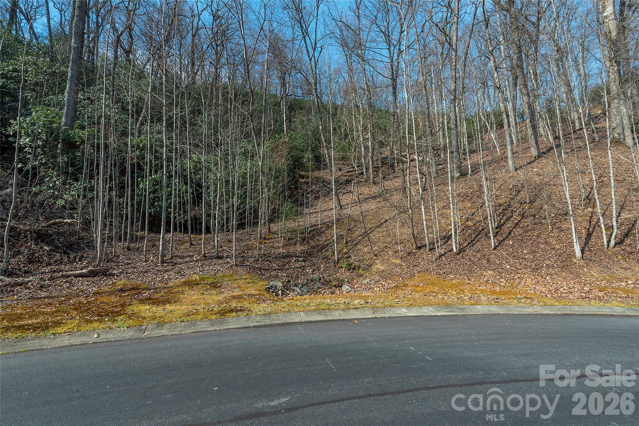 Lot 11 Shining Rock Path