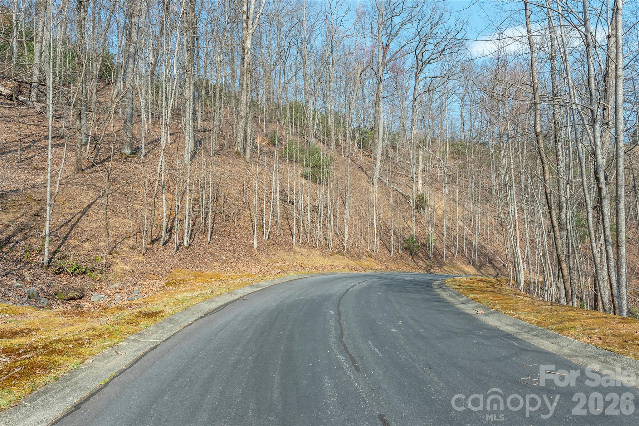 Lot 11 Shining Rock Path, Horse Shoe, NC, 28742