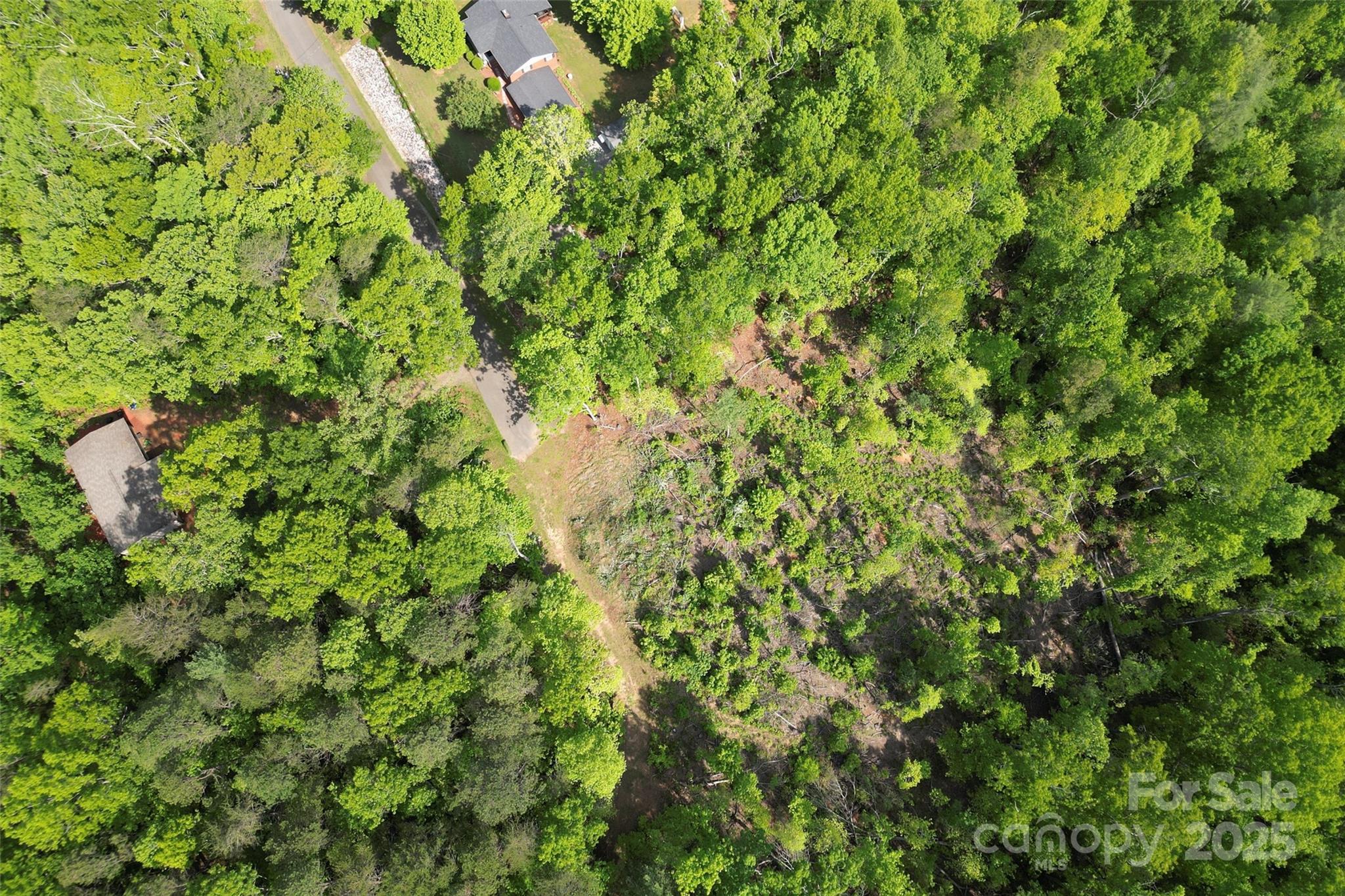 377 Amelia Drive