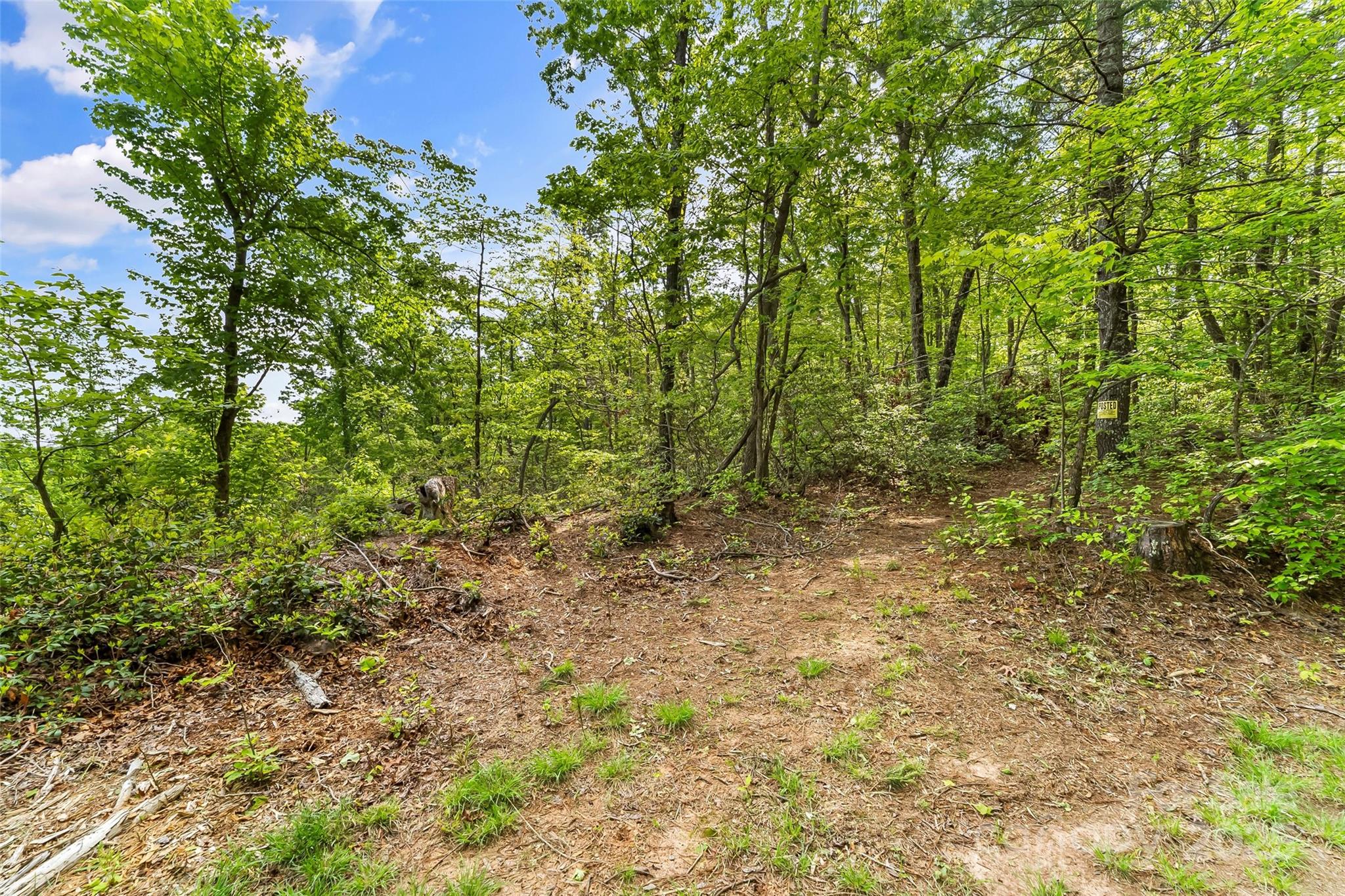 377 Amelia Drive