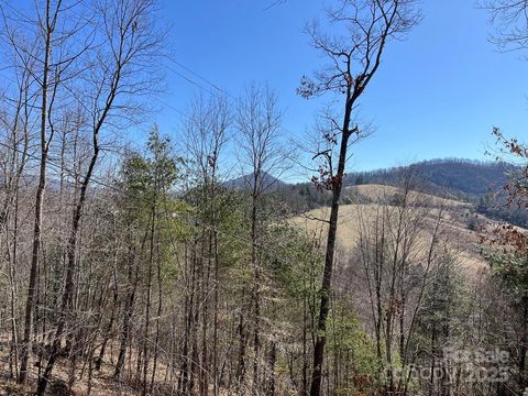 000 Trinity Place Burnsville NC 28714