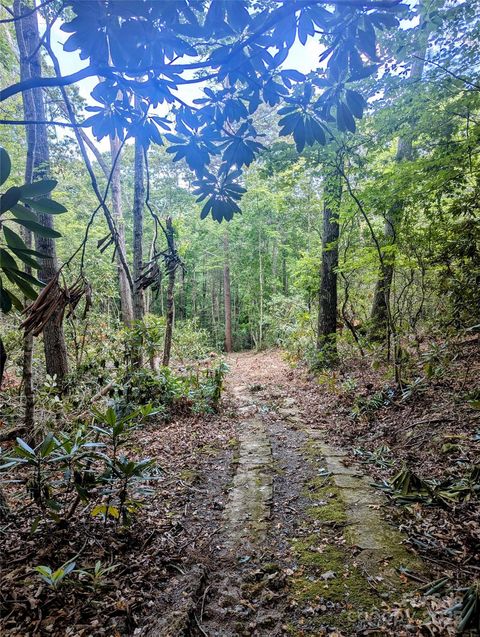 99999 Richard Lane Black Mountain NC 28711