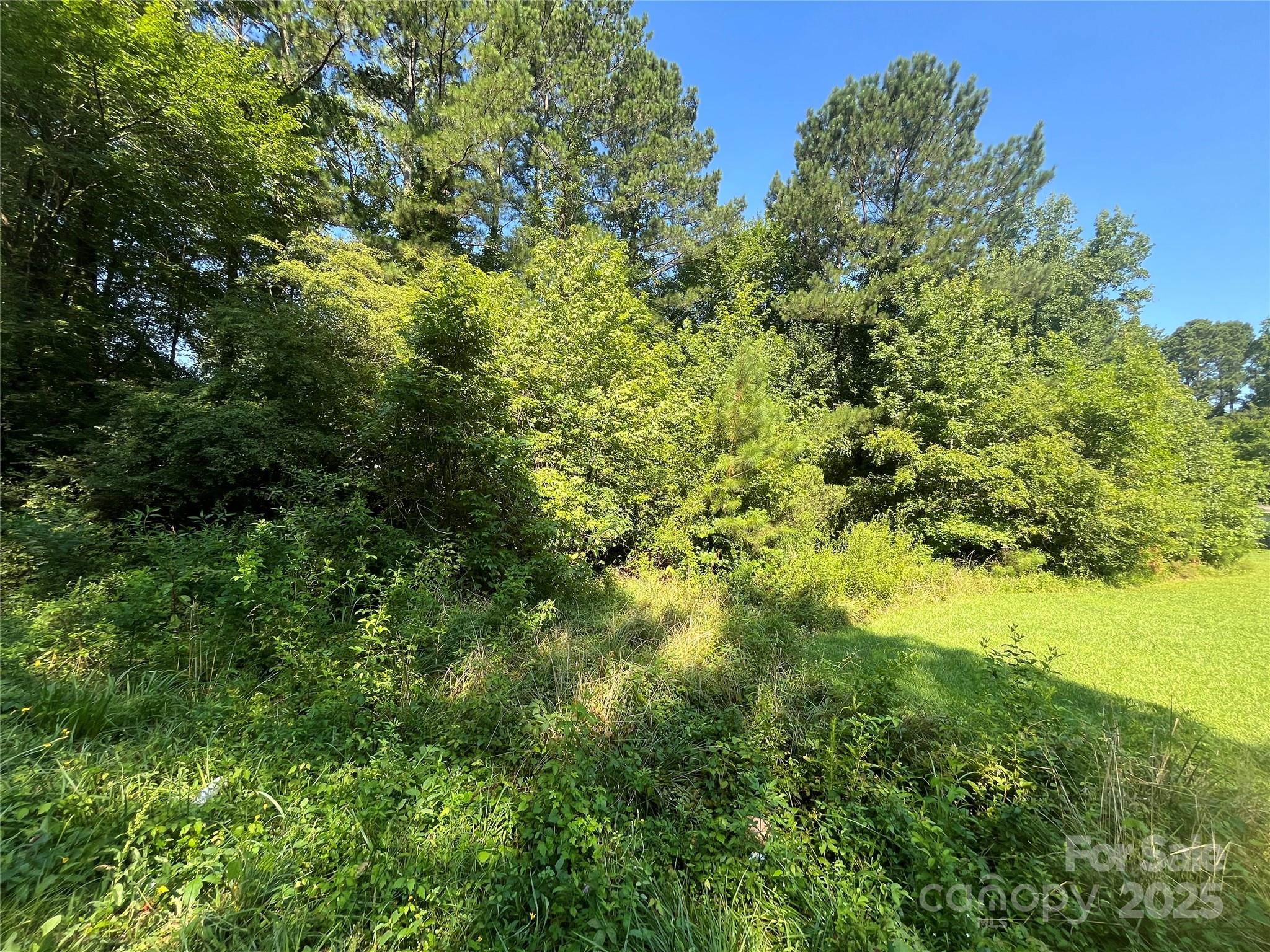 0 Webb Loop Road
