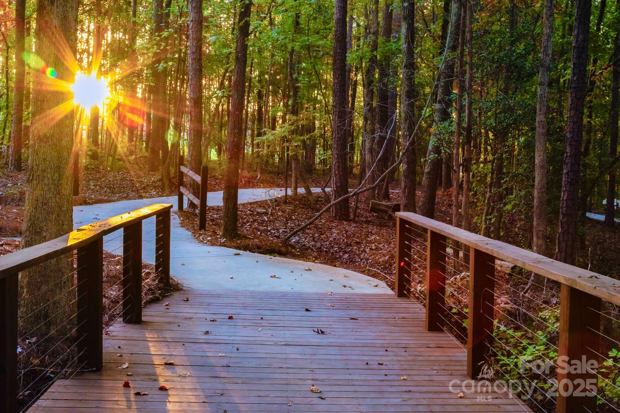 Tree Tops - Residential