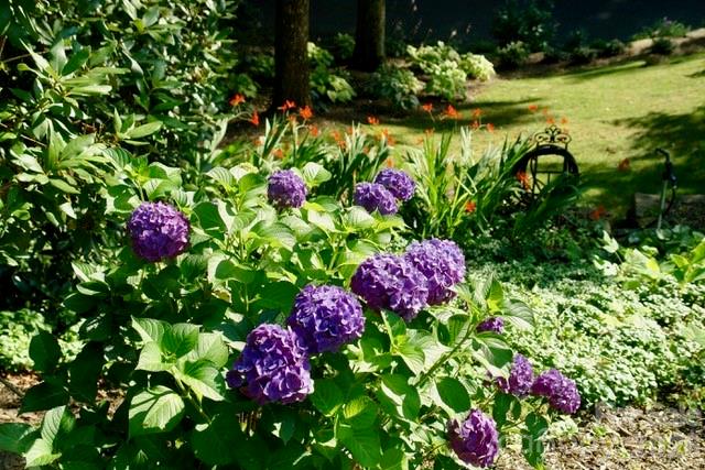 Laurel Ridge Country Club - Residential