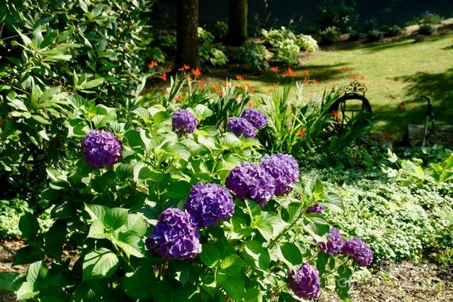 Laurel Ridge Country Club - Residential