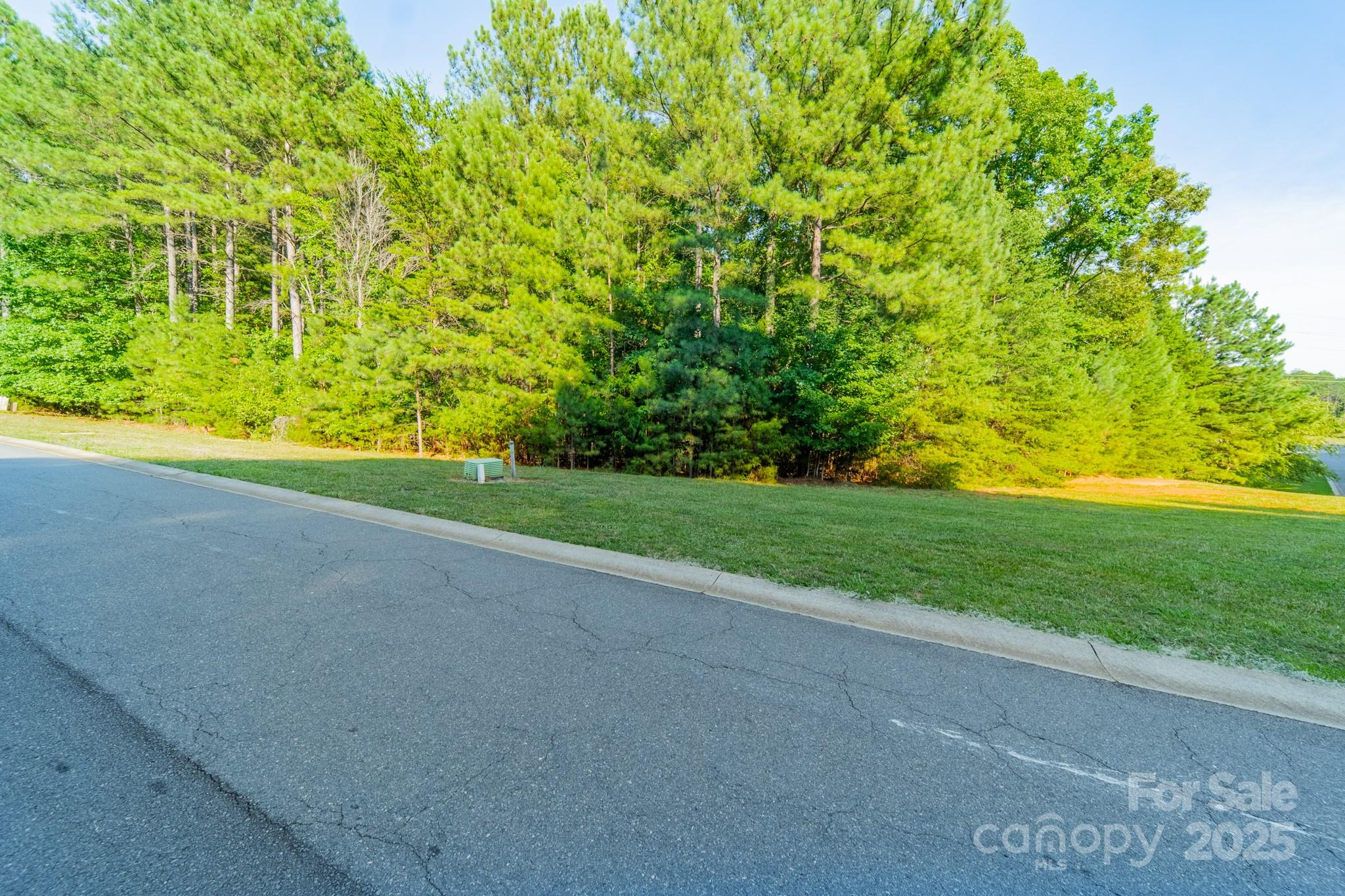 Reflection Pointe - Land