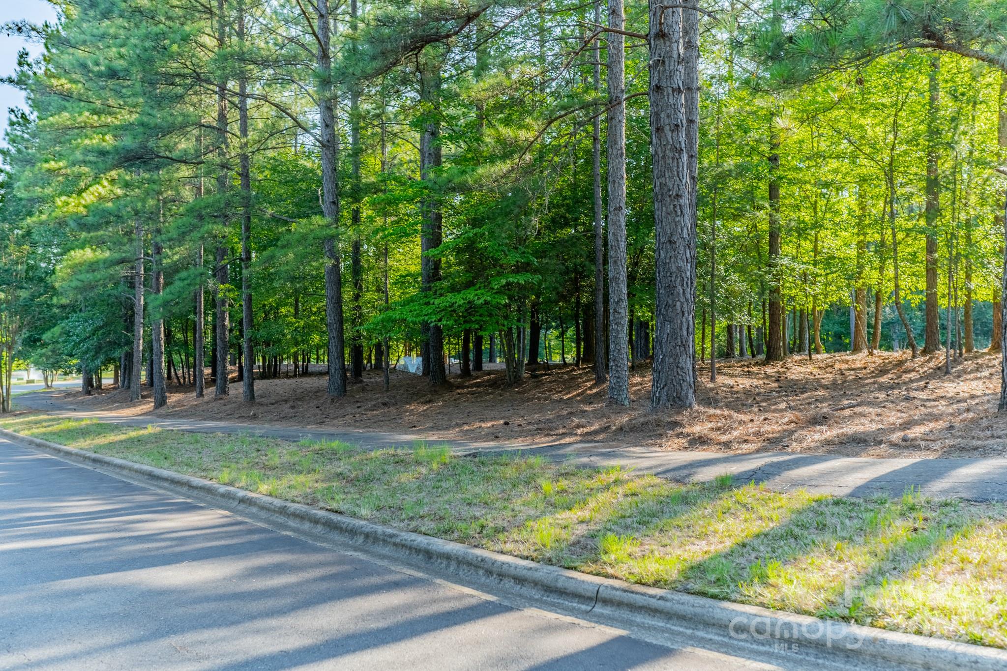 Reflection Pointe - Land