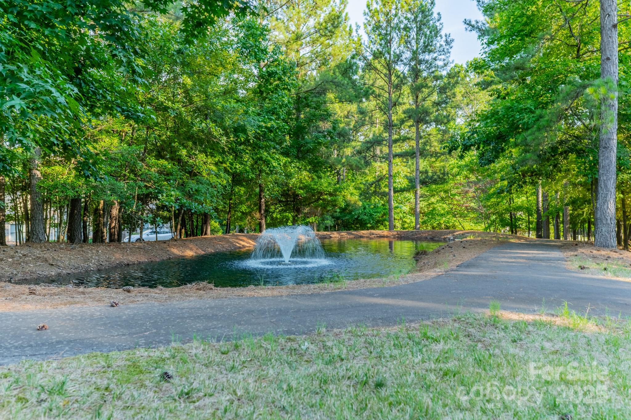 Reflection Pointe - Land