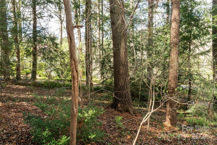 This buildable lot, located just five minutes from downtown, is a perfect spot to build your dream home close to all local amenities. This lot is also being sold as a package with adjacent home for sale: MLS number 4124680.
