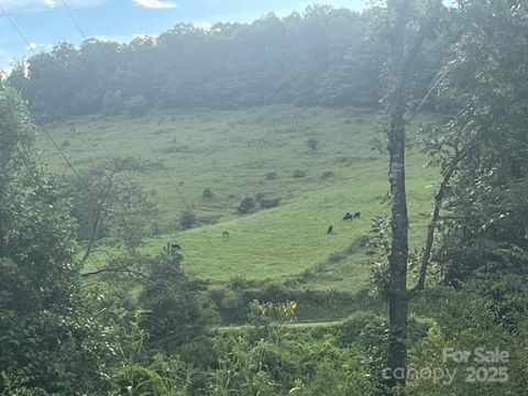 22 Fern Gully None Marshall NC 28753