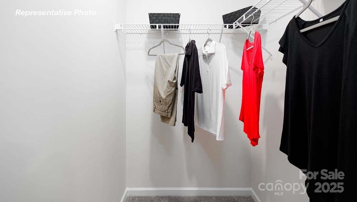 Bristol Terrace - Residential