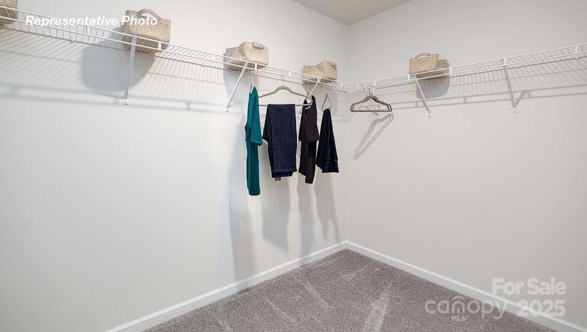 Bristol Terrace - Residential