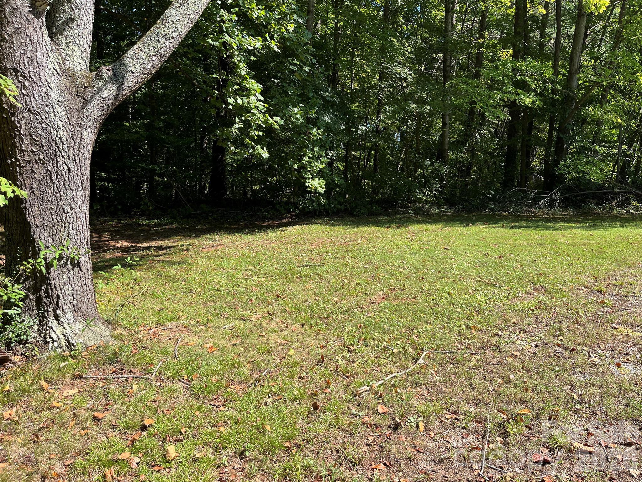 0 Dogwood Lane