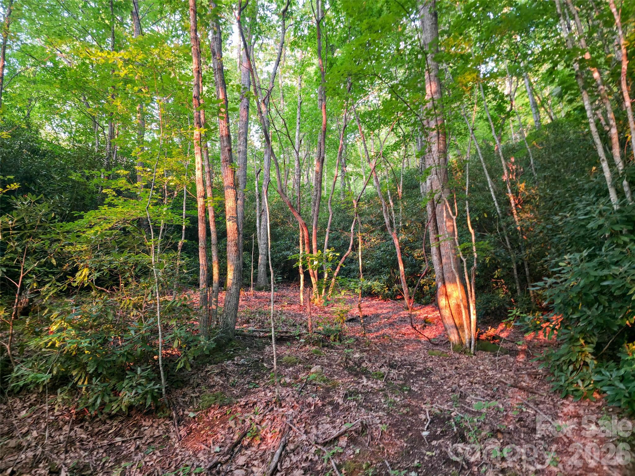 B1-B4 Anglers Ridge