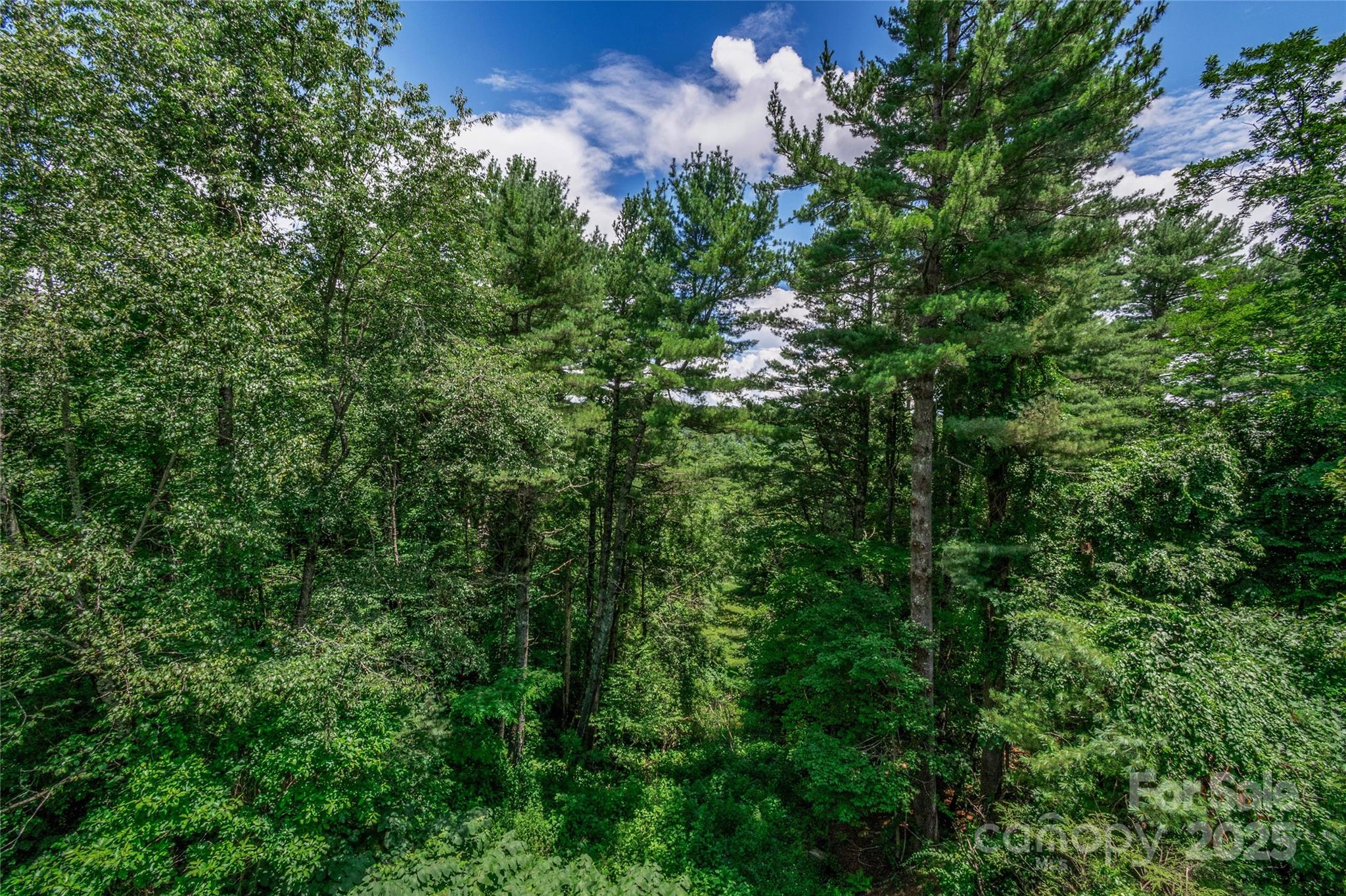 187 Pine Village Lane 5