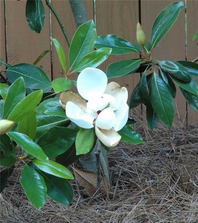 Knightsbridge - Residential