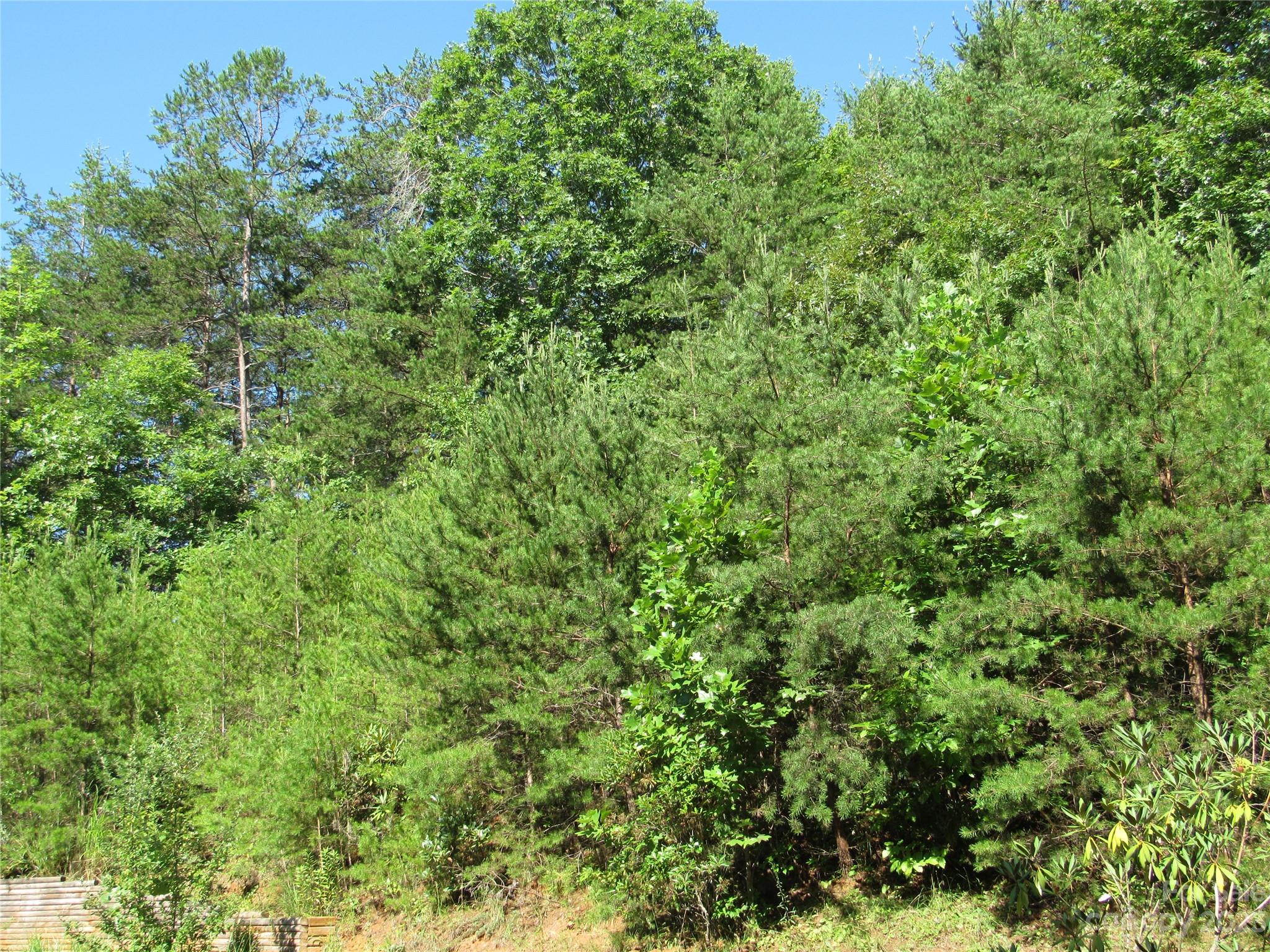 Whispering Pines - Land