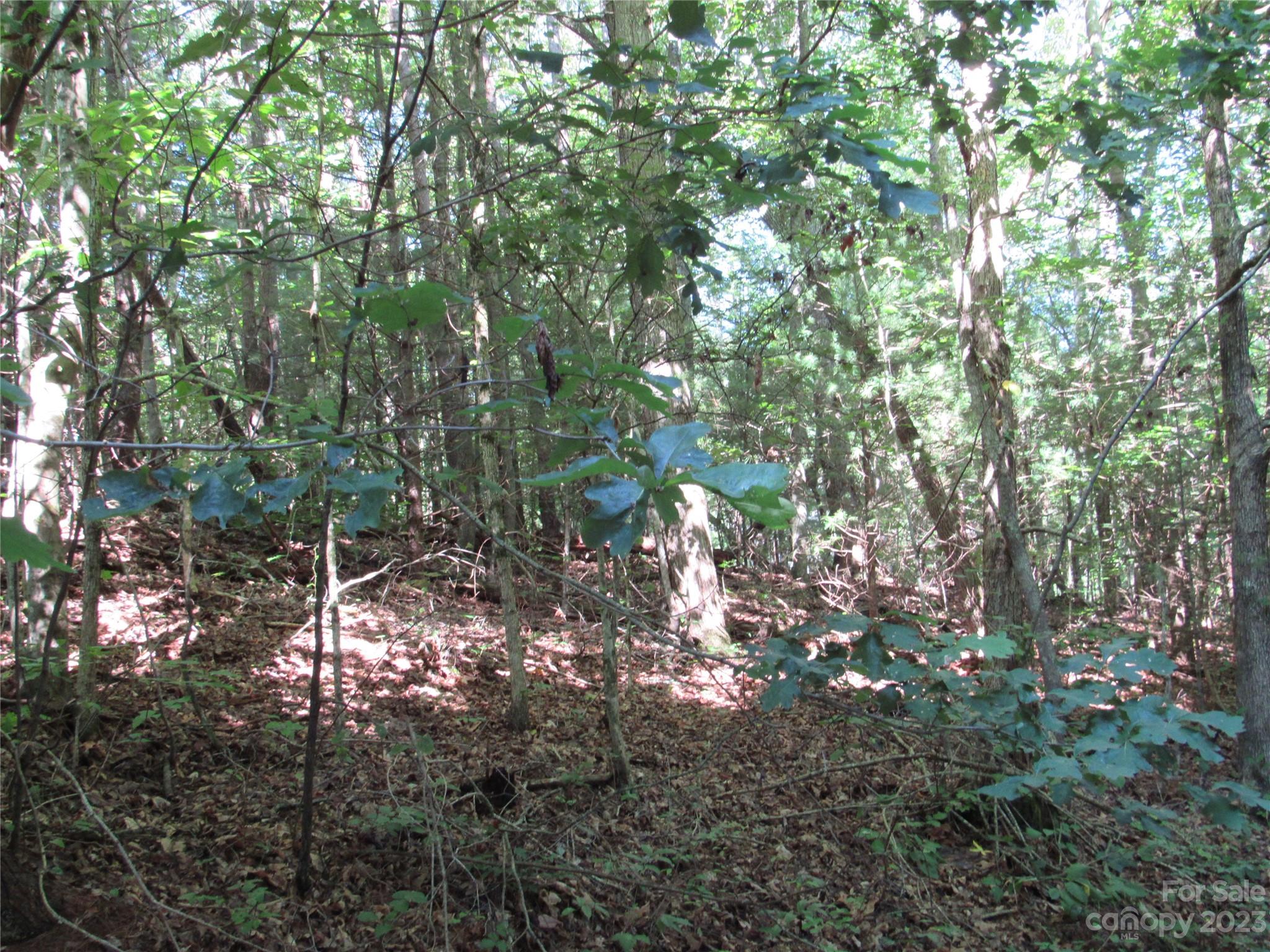 Whispering Pines - Land