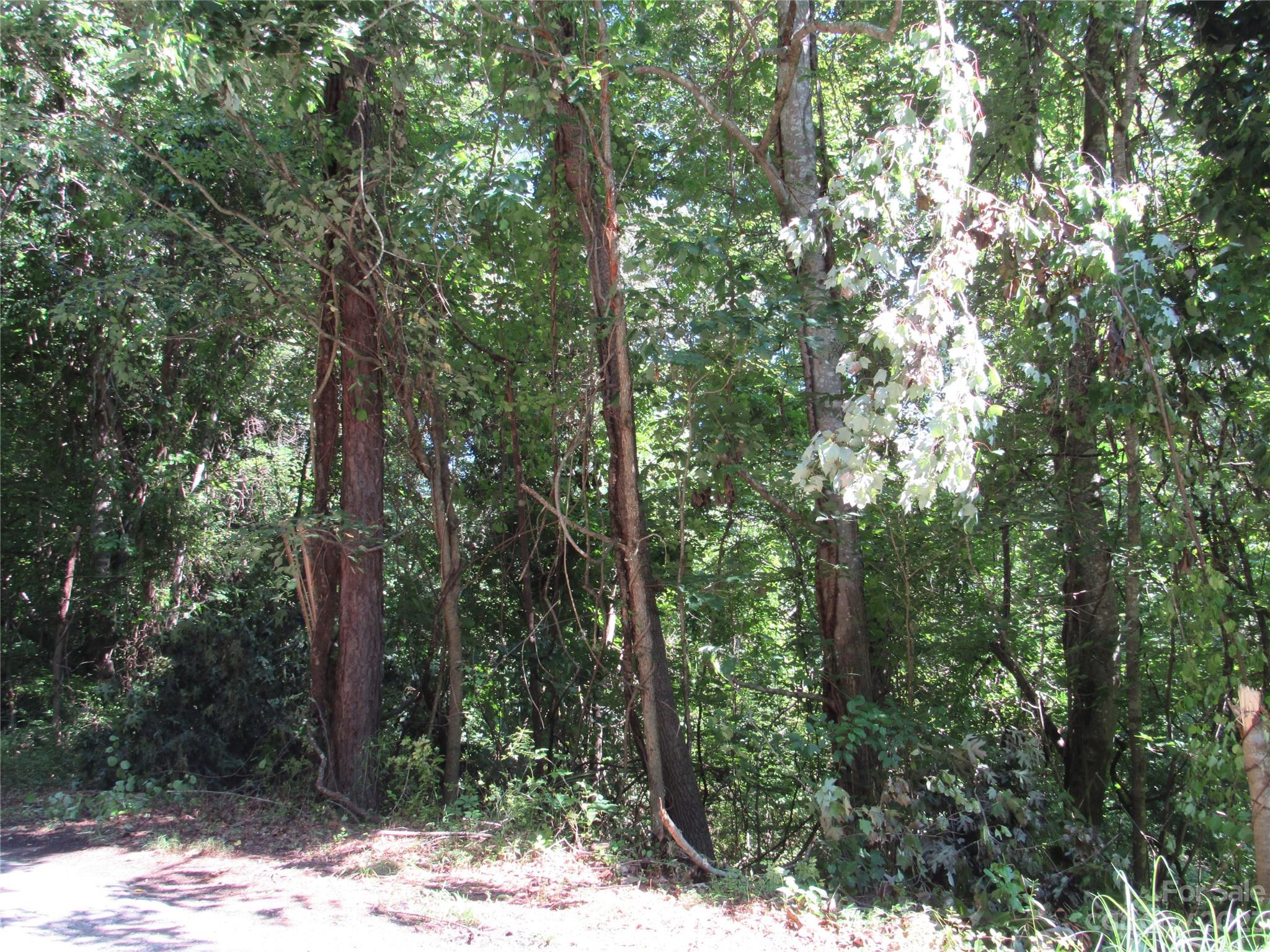 Whispering Pines - Land
