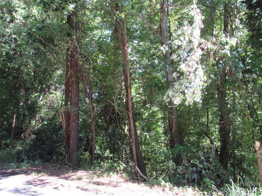 1.59 acres on a quiet road, gently sloping to level at the knoll, the possibility of long-range views with some selective clearing. Will need a well and septic, pert test done in 1996. 1400 sq. ft. minimum for a single story and 1800 for a split level or 2 story