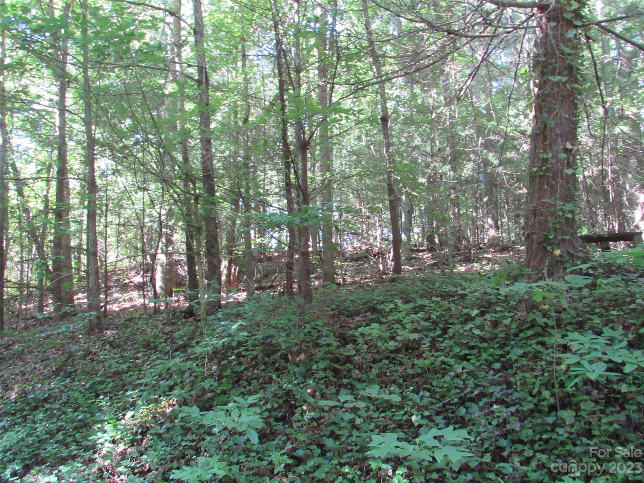 Whispering Pines - Land