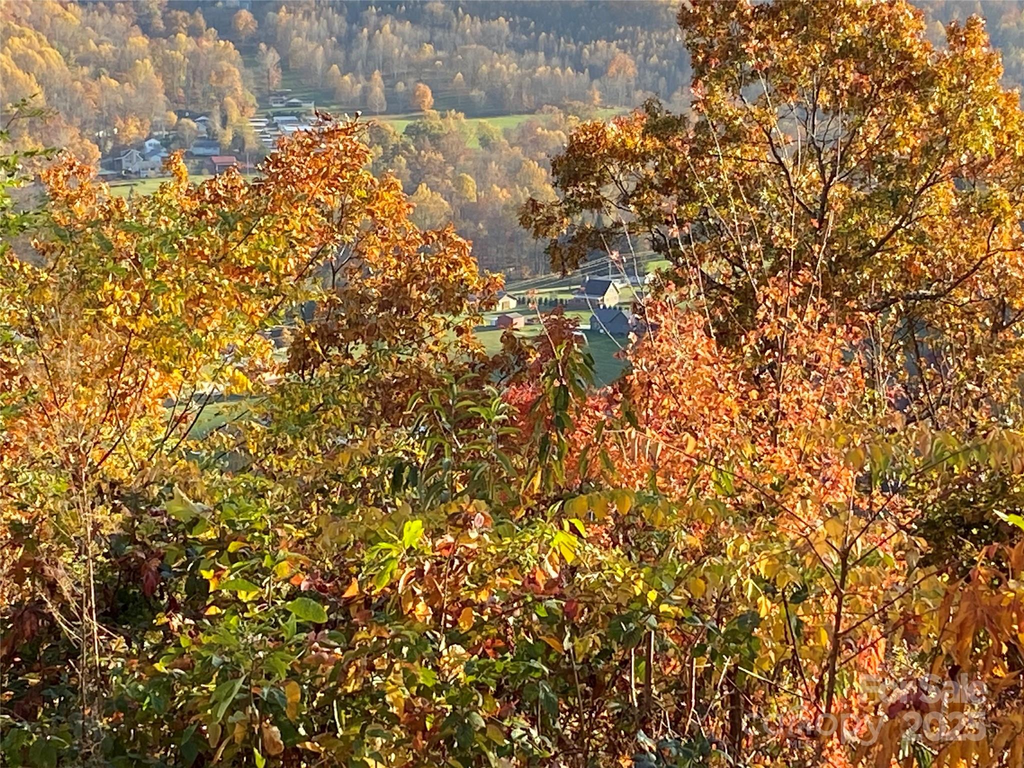 Black Bear Ridge - Land