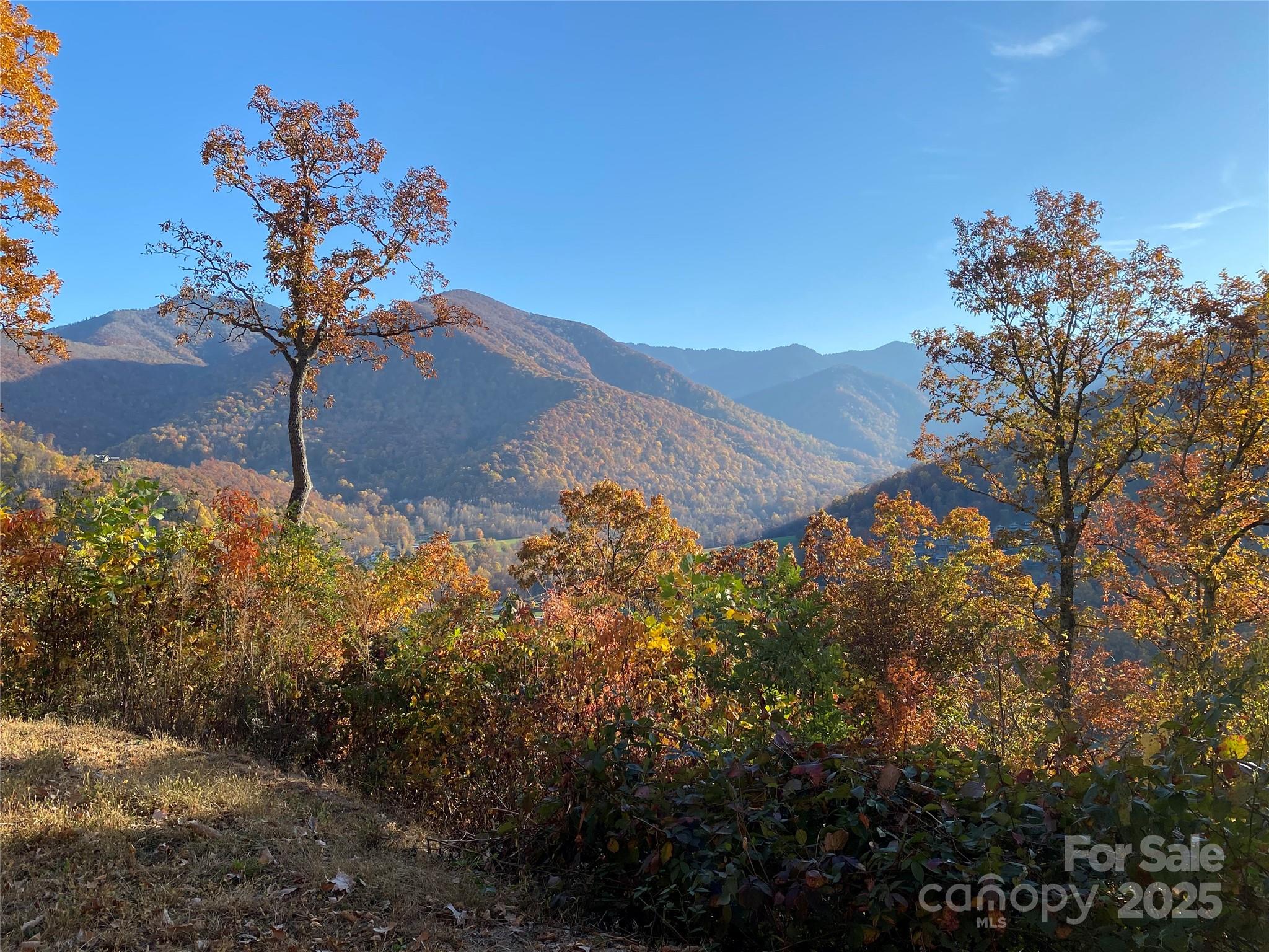 Black Bear Ridge - Land