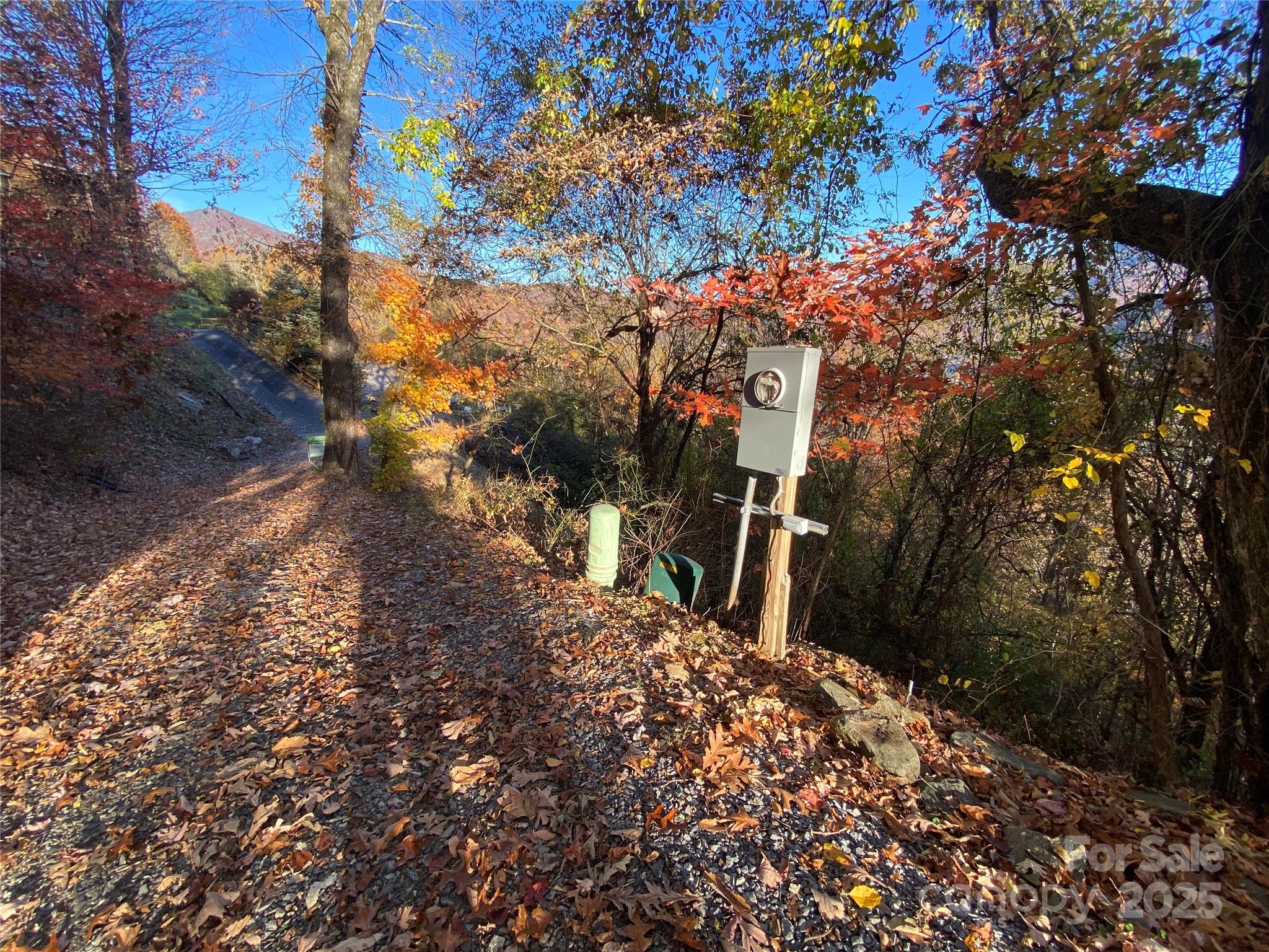 Black Bear Ridge - Land