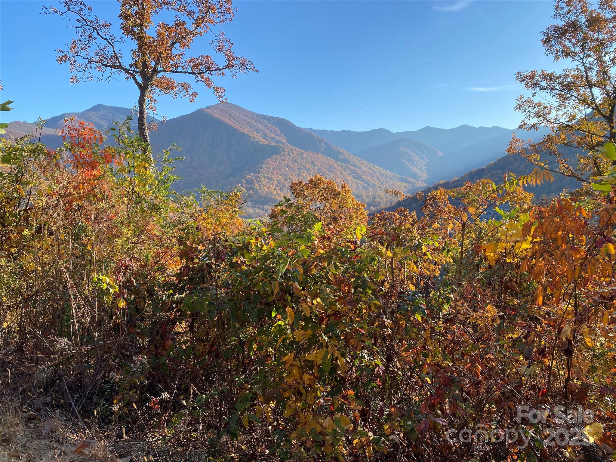 Black Bear Ridge - Land